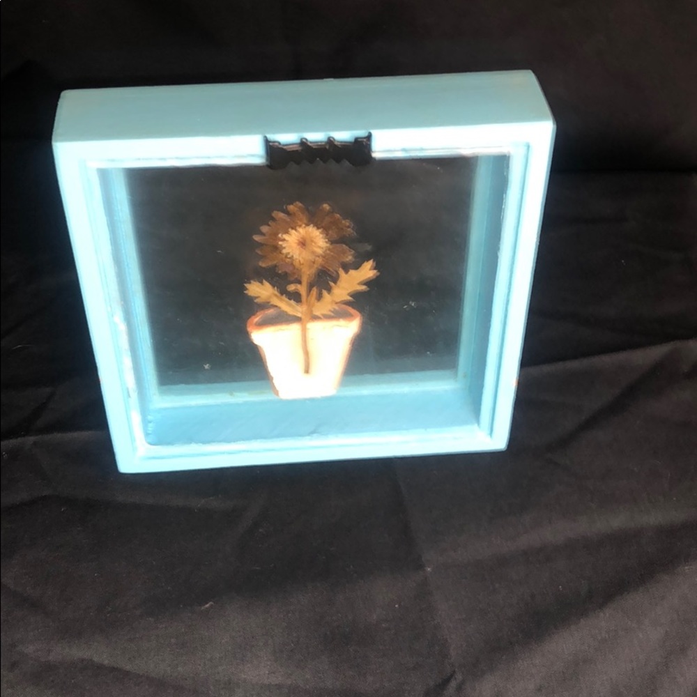 Sun Flower Pot In A Box - Picture 4 of 5